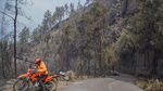 Kebakaran Hutan Tutup Akses Wisata Gunung Bromo