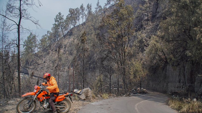 Suasana kawasan Gunung Bromo tanpa pengunjung di kawasan Taman Nasional Bromo Tengger Semeru (TNBTS), Kabupaten Probolinggo, Jawa Timur, Senin (10/8/2026). Balai Besar TNBTS menutup seluruh akses masuk kawasan wisata Bromo sejak Sabtu (8/8/2026) pukul 22.00 WIB akibat perkembangan kebakaran hutan dan lahan, sebagai upaya menjaga keselamatan wisatawan serta mendukung proses penanganan kebakaran. ANTARA FOTO/Irfan Sumanjaya/nz