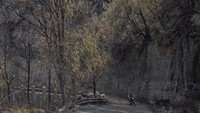 Kondisi Terkini Bromo: 742 Hektare Terbakar, Pemadaman Terus Dikawal