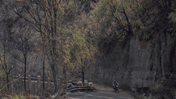 Suasana kawasan Gunung Bromo tanpa pengunjung di kawasan Taman Nasional Bromo Tengger Semeru (TNBTS), Kabupaten Probolinggo, Jawa Timur, Senin (10/8/2026). Balai Besar TNBTS menutup seluruh akses masuk kawasan wisata Bromo sejak Sabtu (8/8/2026) pukul 22.00 WIB akibat perkembangan kebakaran hutan dan lahan, sebagai upaya menjaga keselamatan wisatawan serta mendukung proses penanganan kebakaran. ANTARA FOTO/Irfan Sumanjaya/nz