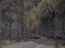 Kondisi Terkini Bromo: 742 Hektare Terbakar, Pemadaman Terus Dikawal