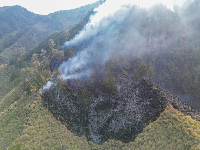 Suasana kawasan Gunung Bromo tanpa pengunjung di kawasan Taman Nasional Bromo Tengger Semeru (TNBTS), Kabupaten Probolinggo, Jawa Timur, Senin (10/8/2026). Balai Besar TNBTS menutup seluruh akses masuk kawasan wisata Bromo sejak Sabtu (8/8/2026) pukul 22.00 WIB akibat perkembangan kebakaran hutan dan lahan, sebagai upaya menjaga keselamatan wisatawan serta mendukung proses penanganan kebakaran. ANTARA FOTO/Irfan Sumanjaya/nz