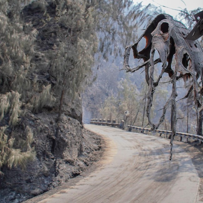 Kebakaran Hutan Tutup Akses Wisata Gunung Bromo