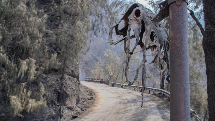 Suasana kawasan Gunung Bromo tanpa pengunjung di kawasan Taman Nasional Bromo Tengger Semeru (TNBTS), Kabupaten Probolinggo, Jawa Timur, Senin (10/8/2026). Balai Besar TNBTS menutup seluruh akses masuk kawasan wisata Bromo sejak Sabtu (8/8/2026) pukul 22.00 WIB akibat perkembangan kebakaran hutan dan lahan, sebagai upaya menjaga keselamatan wisatawan serta mendukung proses penanganan kebakaran. ANTARA FOTO/Irfan Sumanjaya/nz