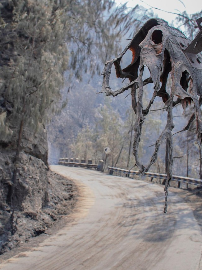 Kebakaran Hutan Tutup Akses Wisata Gunung Bromo