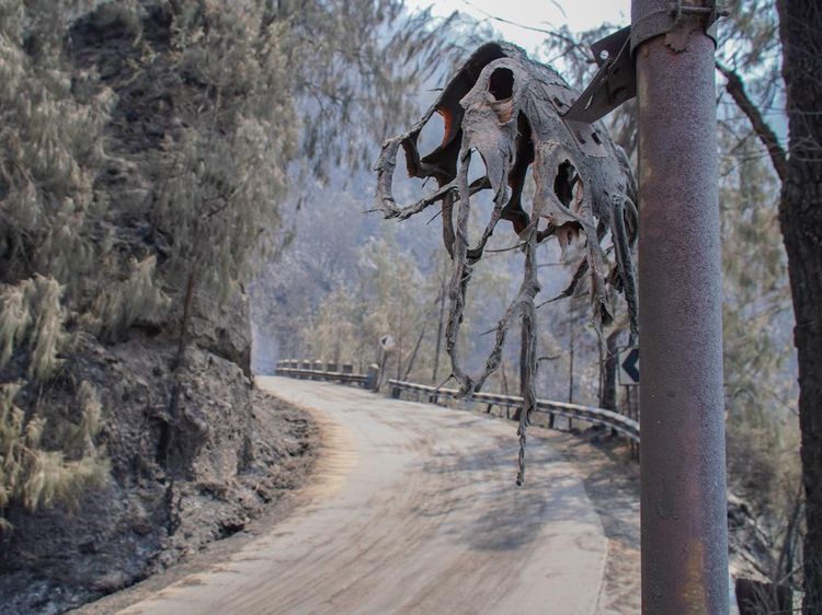 Kebakaran Hutan Tutup Akses Wisata Gunung Bromo
