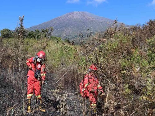 Petugas berjibaku memadamkan api di kawasan Gunung Rinjani, Sabtu (8/8/2026)