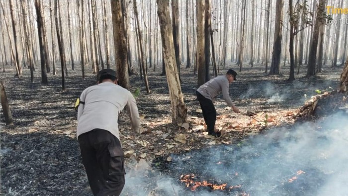 Petugas kepolisian memadamkan api di hutan Ngawi agar tidak meluas..