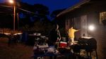 Pohon Tua Terancam Ditebang, Aktivis Duduki Batang Cottonwood di Perbatasan AS-Meksiko