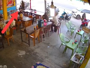 Video Viral Pria ODGJ Lempar Batu ke Kepala Balita di Lampung