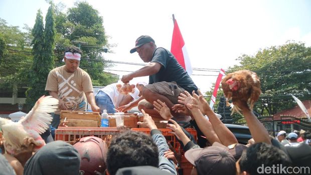Situasi aksi demo oleh peternak unggas di depan kantor Bupati Pati, Senin (10/8/2026). Situasi aksi demo oleh peternak unggas di depan kantor Bupati Pati, Senin (10/8/2026).