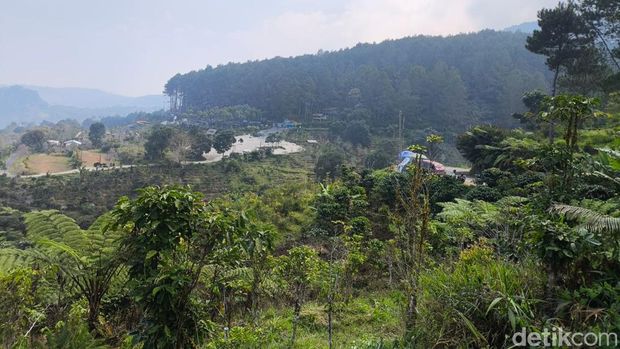 Suasana Warkop Rexa Sunyi Kuningan Suasana Warkop Rexa Sunyi Kuningan