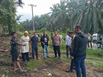 Remaja Tewas Tersengat Listrik Tegangan Tinggi Saat Panen Sawit di Simalungun