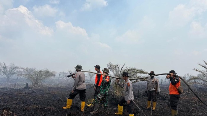 Tim gabungan melakukan pemadaman karhutla di Sungai Gelam, Muaro Jambi, Jambi