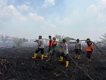 Polda Jambi Tangani 4 Kasus Karhutla, 5 Pelaku Ditangkap