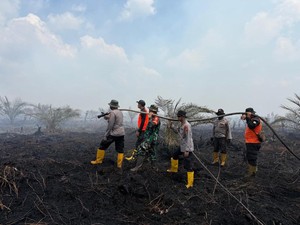Polda Jambi Tangani 4 Kasus Karhutla, 5 Pelaku Ditangkap