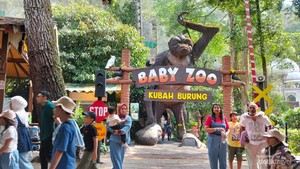 Taman Safari Jadi Tempat Favorit, Bisa Dekat dengan Satwa