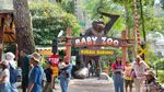 Taman Safari Jadi Tempat Favorit, Bisa Dekat dengan Satwa