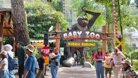 Taman Safari Jadi Tempat Favorit, Bisa Dekat dengan Satwa