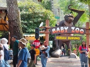 Taman Safari Jadi Tempat Favorit, Bisa Dekat dengan Satwa