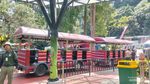 Taman Safari Jadi Tempat Favorit, Bisa Dekat dengan Satwa