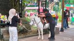7 Potret Satwa di Taman Safari Bogor