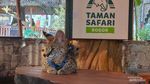 7 Potret Satwa di Taman Safari Bogor