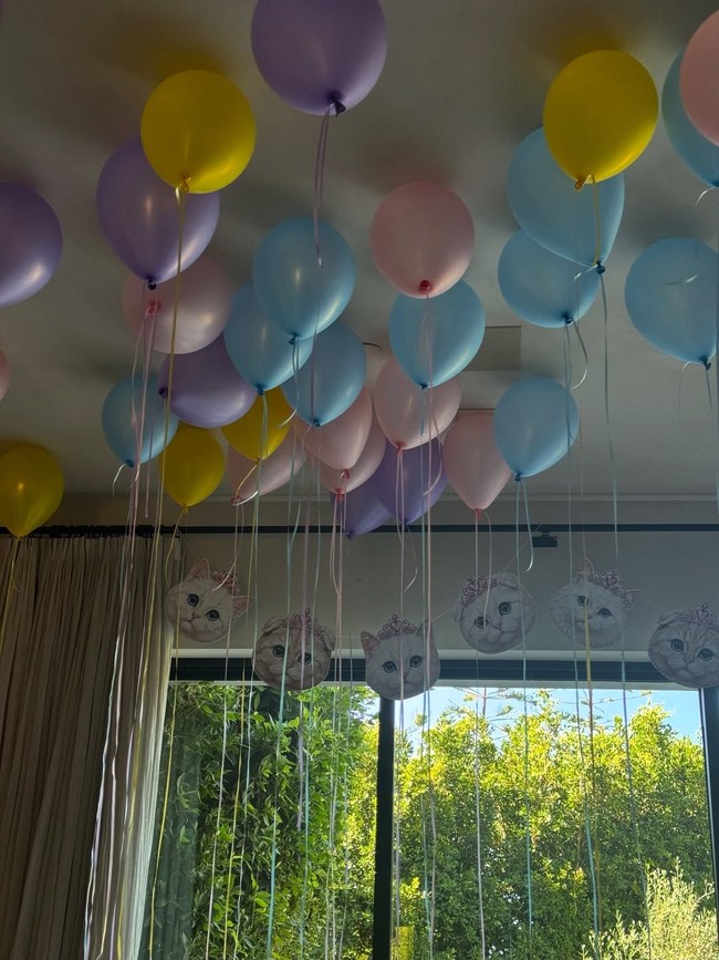 Rumah Kylie pun disulap dengan balon warna-warni dan ornamen kucing yang menggemaskan.Foto: Instagram