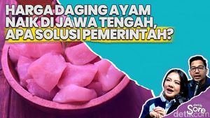 Video: Peternak Jawa Tengah Lakukan Demo dan Tutup Usaha Imbas Tak Stabil Harga Daging