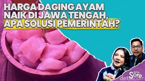 Video: Peternak Jawa Tengah Lakukan Demo dan Tutup Usaha Imbas Tak Stabil Harga Daging