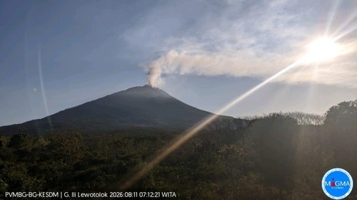 Gunung Ile Lewotolok meletus, Selasa (11/8/2026) pagi.