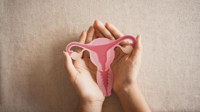 Kanker Endometrium