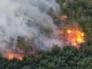 Karhutla Belum Reda, Status Tanggap Darurat di Kobar Diperpanjang