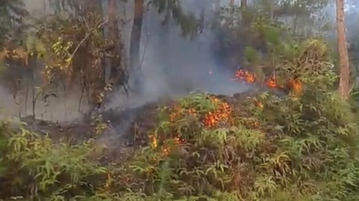 Kebakaran hutan di Tana Toraja imbas kemarau ekstrem.