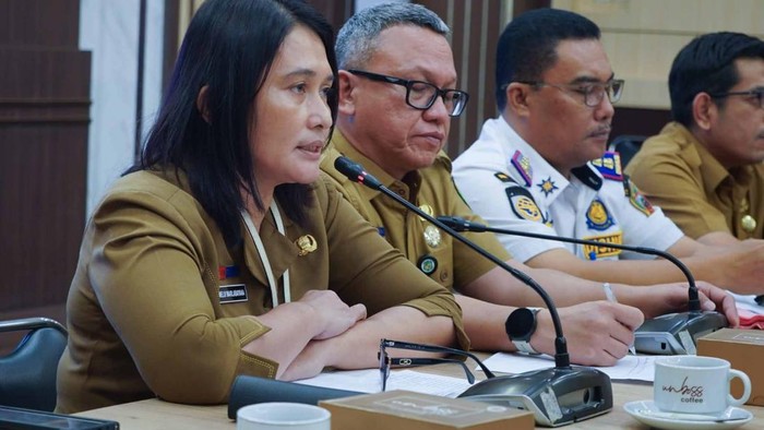 Kepala Dinas Lingkungan Hidup (DLH) Kota Medan Melvi Marlabayana (Dok Pemkot Medan)