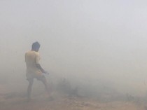 1,6 Hektare Lahan di Pelawangan Terbakar, Pendakian Gunung Rinjani Tetap Buka