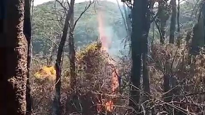 Kondisi terkini kebakaran Gunung Gede Pangrango