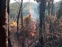 20 Hektare Gunung Gede Terbakar, 400 Personel Gabungan Disiagakan