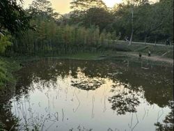 Makin Dipikir Makin Bingung, Foto-foto Ini Malah Bikin Ngakak