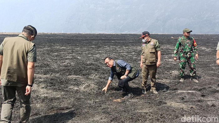 Menko PMK Pratikno meninjau penanganan kebakaran di kawasan Gunung Bromo