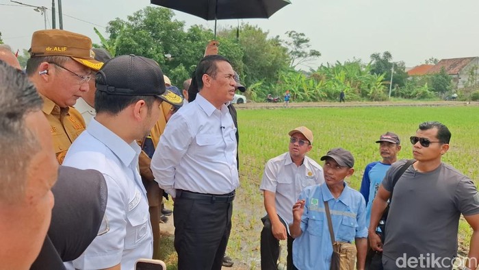 Mentan Andi Amran Sulaiman saat kunjungan ke Gresik