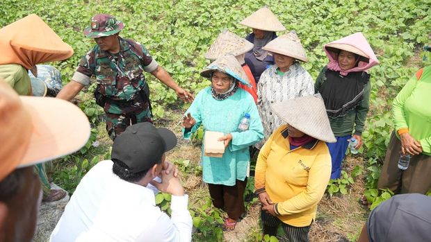 Menteri Pertanian (Mentan) Amran Sulaiman saat dalam kunjungannya ke Gresik, Jawa Timur, juga mengecek langsung lahan pertanian nan dilaporkan terdampak kekeringan lebih dari 200 hektare. (Dok. Humas Kementan)