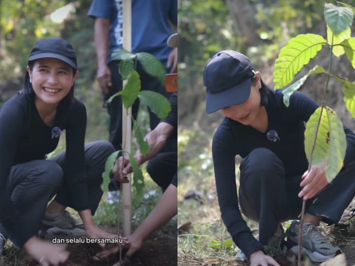 Prilly Latuconsina Kasih Omara Kado Ultah 270 Pohon Kopi
