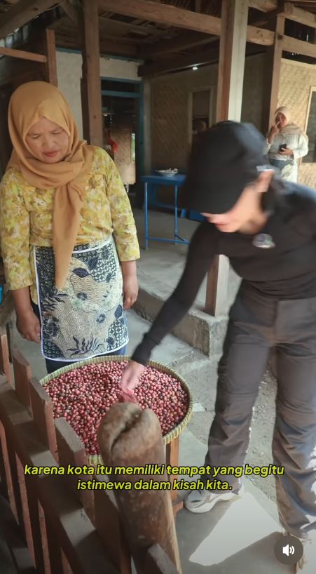 Prilly Latuconsina Kasih Omara Kado Ultah 270 Pohon Kopi Prilly Latuconsina Kasih Omara Kado Ultah 270 Pohon Kopi