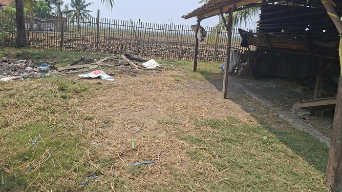 TKP Pencurian dan Penyembelihan Kambing