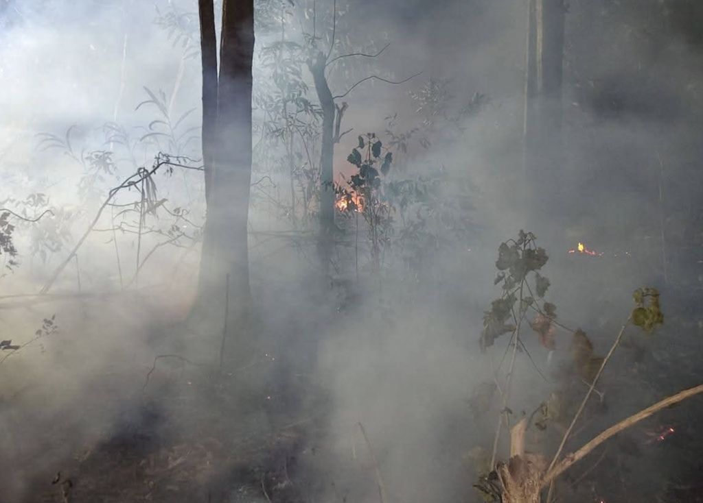 Upaya petugas gabungan dalam memadamkan api yang membakar kawasan bukit di Dusun Waililan, Negeri Bula, Kecamatan Bula, Kabupaten Seram Bagian Timur, Provinsi Maluku, Senin (10/8). (Dok. BPBD Kab. Seram Bagian Timur)