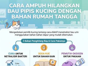 4 Bahan Ini Bisa Bersihkan Pipis Kucing Sampai Tak Berbau Lagi