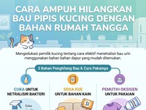 4 Bahan Ini Bisa Bersihkan Pipis Kucing Sampai Tak Berbau Lagi