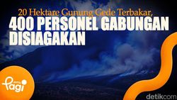 Video: 20 Hektare Gunung Gede Terbakar, 400 Personel Gabungan Disiagakan
