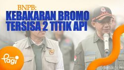 Video: BNPB: Kebakaran Bromo Tersisa 2 Titik Api